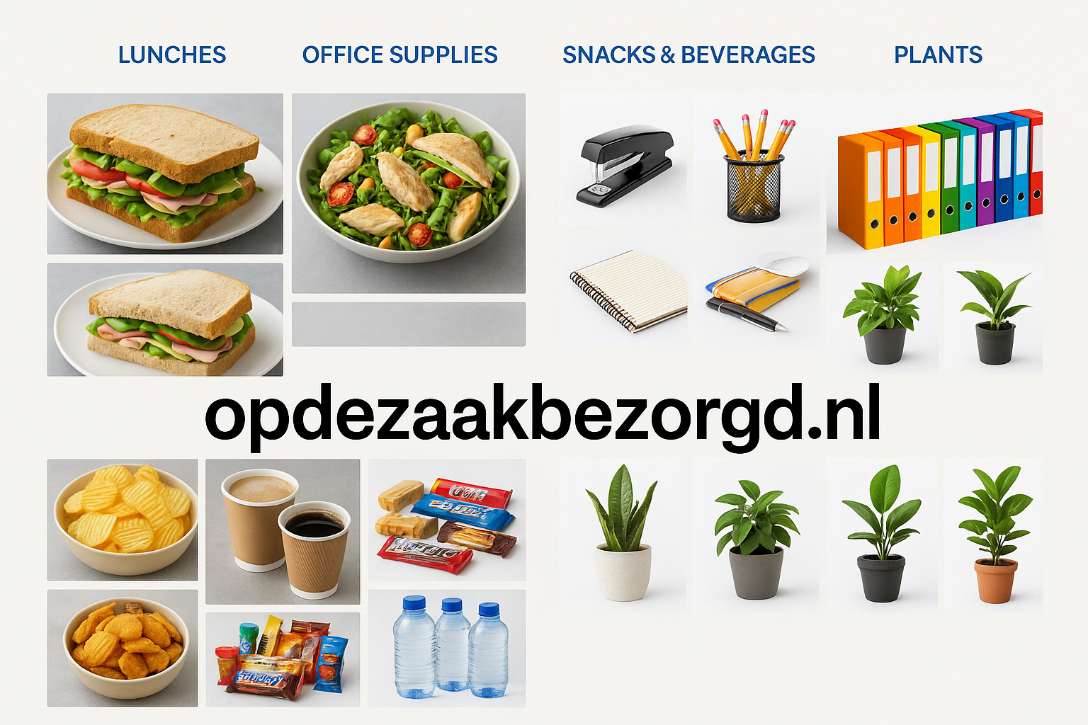 opdezaakbezorgd.nl concept